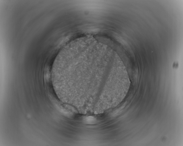 X0000091550287200709141522