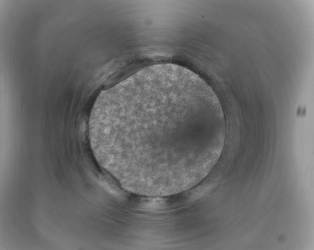 X0000091550288200709141522