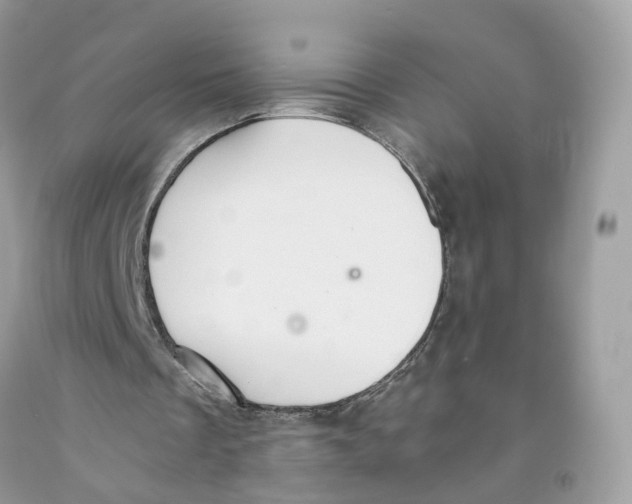 X0000091550289200709141521