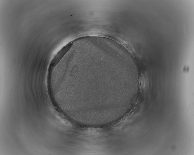 X0000091550292200709141521