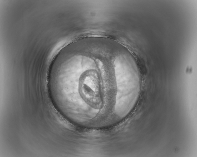 X0000091550293200709141521