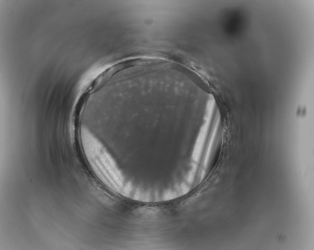 X0000091550294200709141521