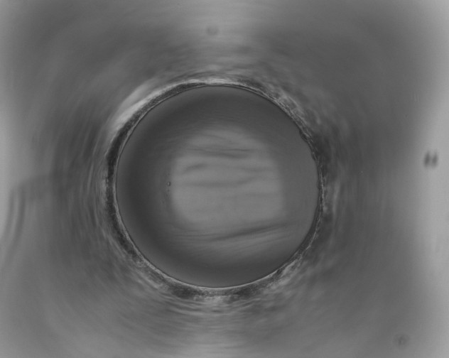 X0000091550295200709141521