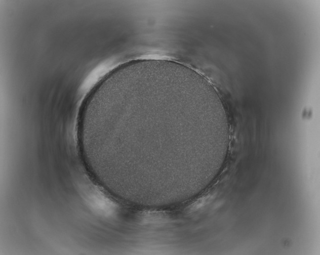 X0000091550296200709141521