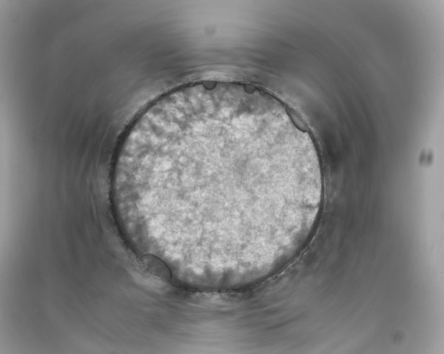 X0000091550297200709141521