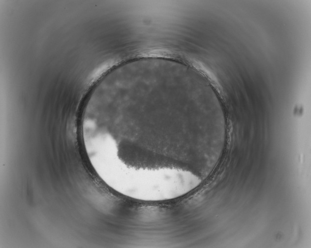 X0000091550298200709141521