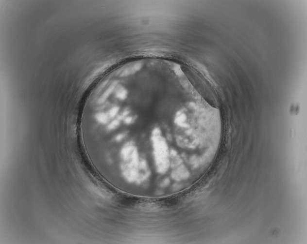 X0000091550299200709141521