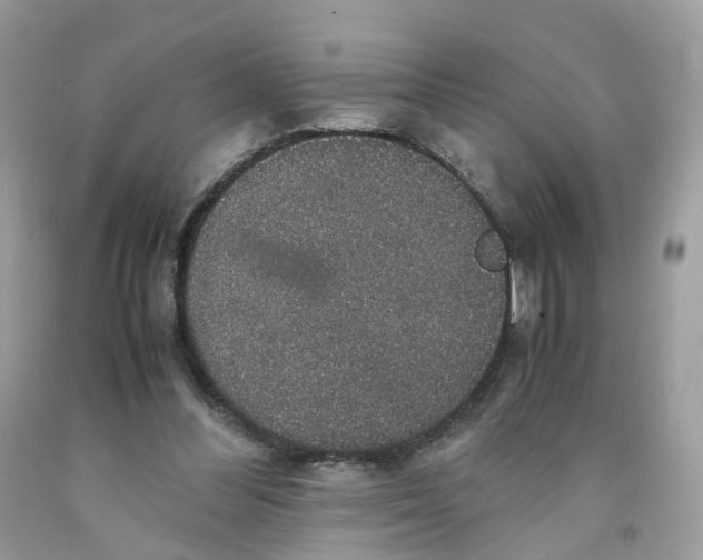 X0000091550300200709141521