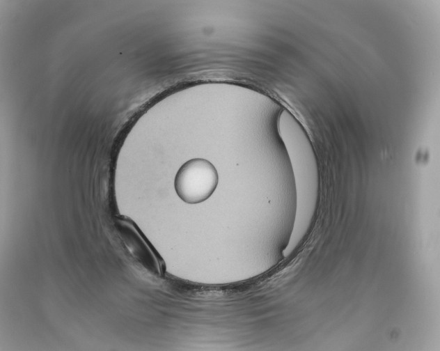 X0000091550301200709141521