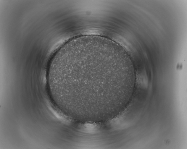 X0000091550302200709141521