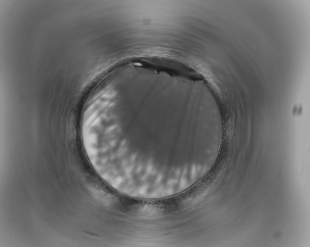 X0000091550303200709141521