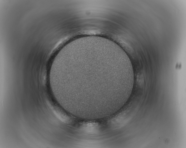 X0000091550304200709141521