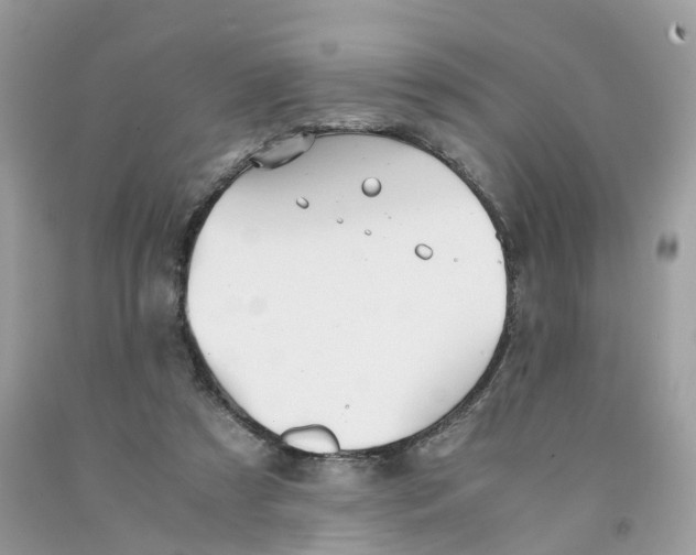 X0000091550305200709141521