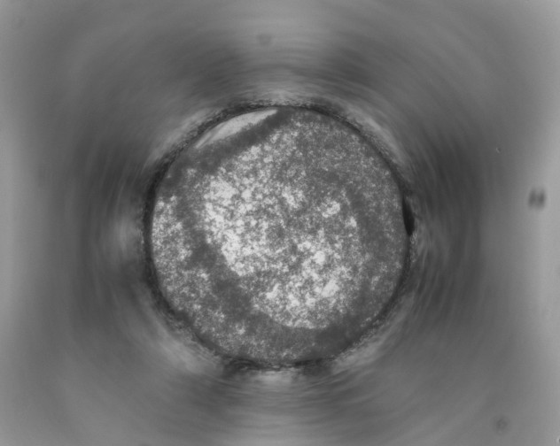 X0000091550306200709141521