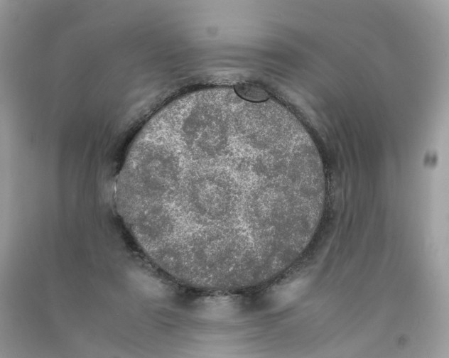 X0000091550307200709141521