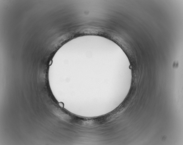 X0000091550309200709141521