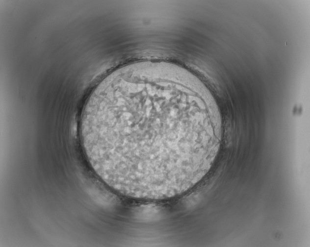 X0000091550310200709141521