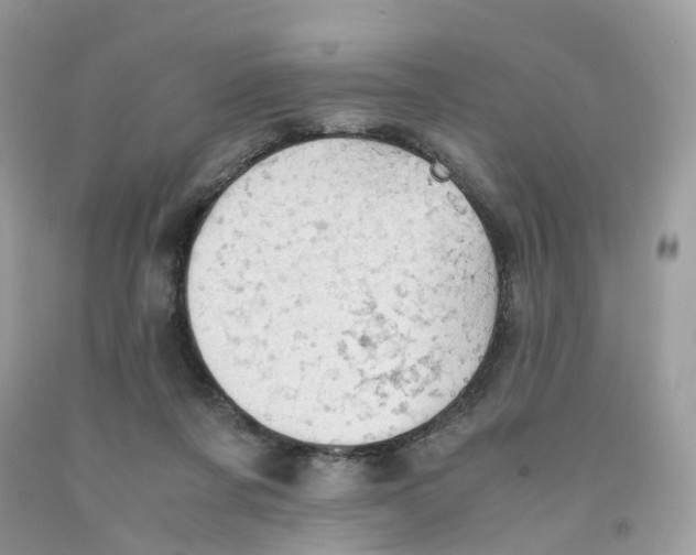 X0000091550311200709141521