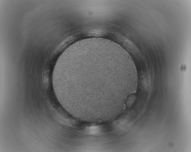 X0000091550312200709141521