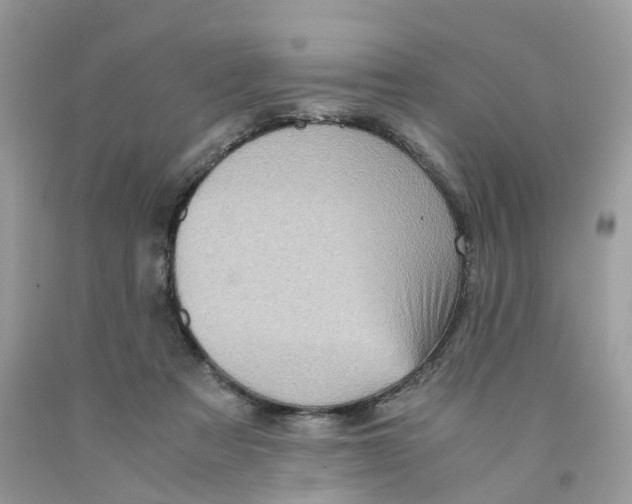 X0000091550313200709141521