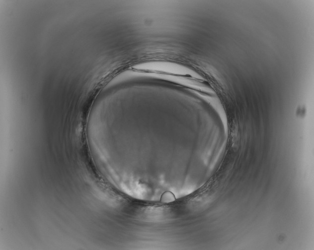 X0000091550314200709141521