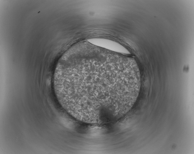 X0000091550315200709141521