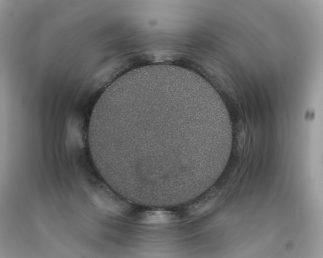 X0000091550316200709141521