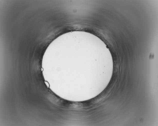 X0000091550317200709141521