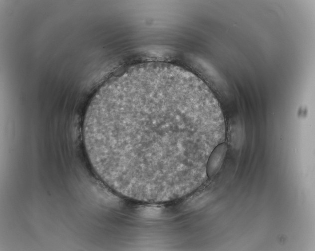 X0000091550318200709141521