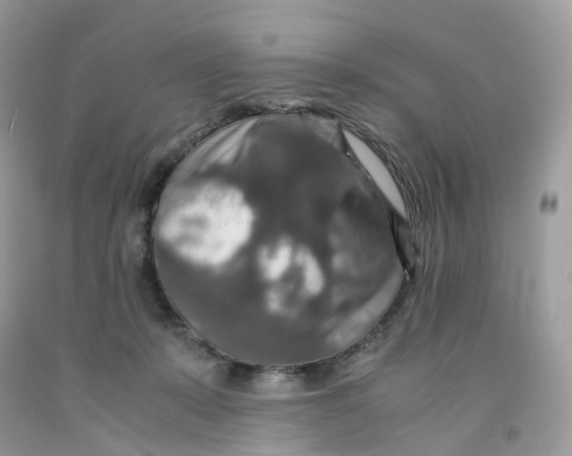 X0000091550319200709141521