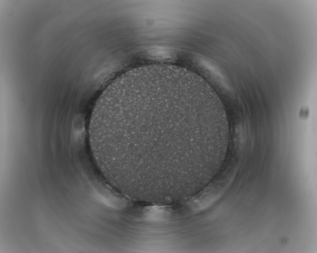 X0000091550320200709141521