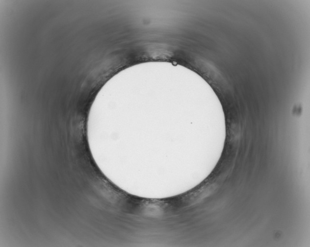 X0000091550321200709141521