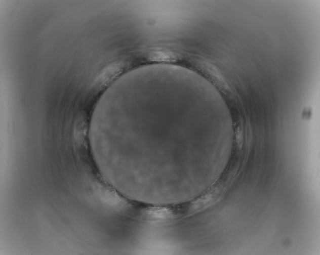 X0000091550322200709141521