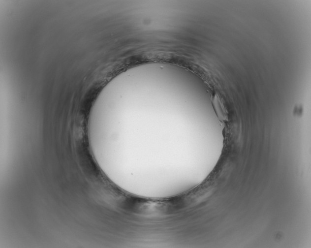 X0000091550323200709141521