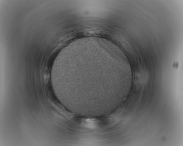 X0000091550324200709141521