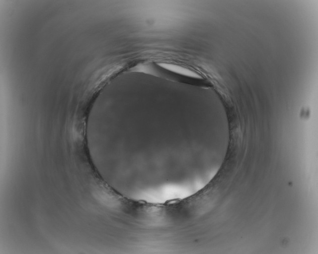 X0000091550325200709141521