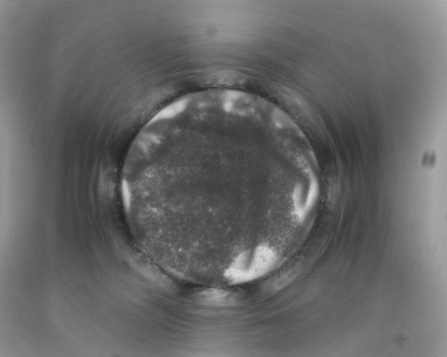 X0000091550326200709141521