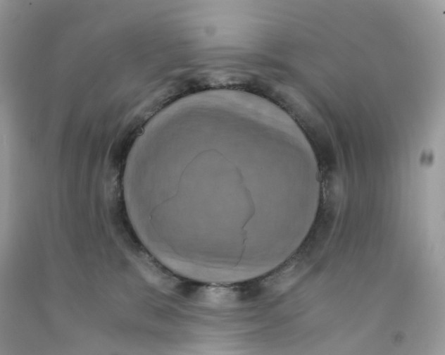 X0000091550327200709141521