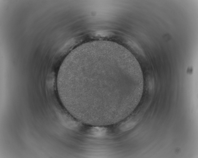 X0000091550328200709141521