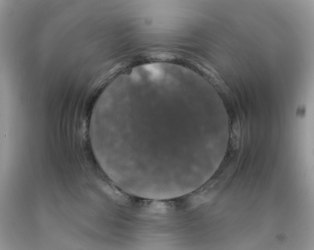 X0000091550330200709141521