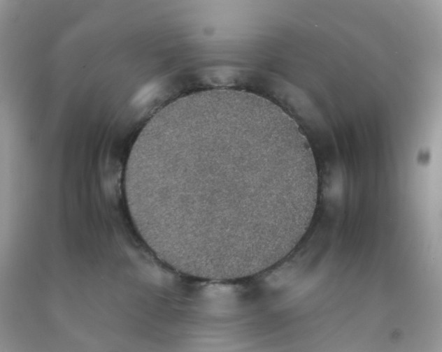 X0000091550332200709141521