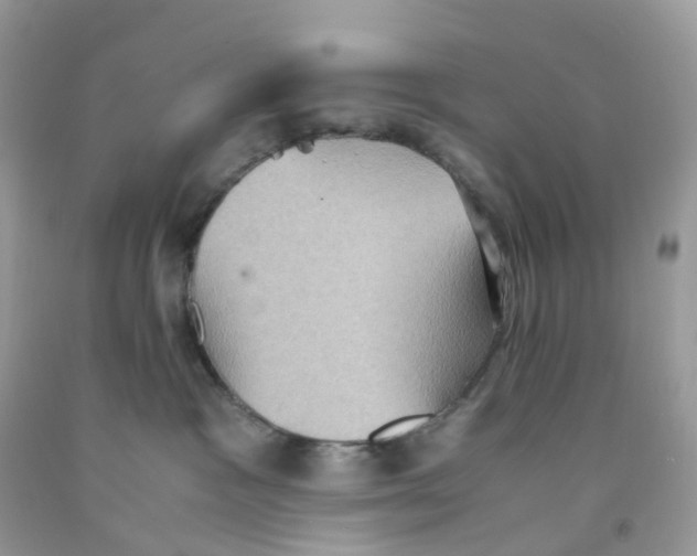 X0000091550333200709141521