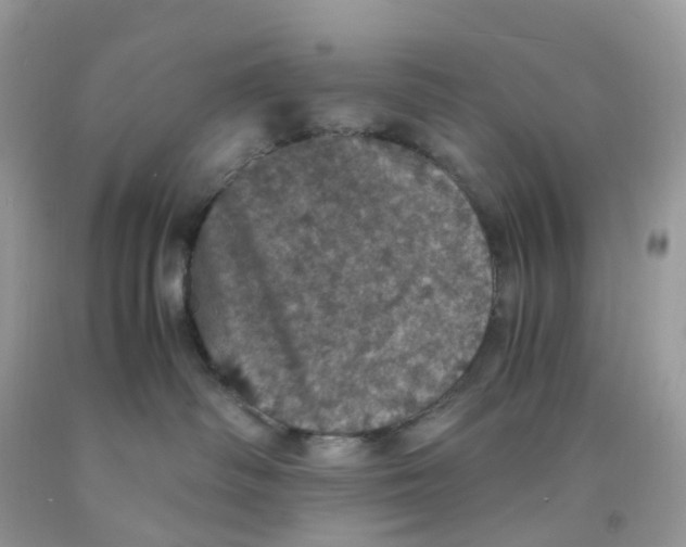 X0000091550334200709141521