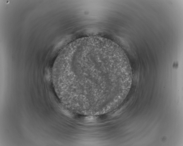 X0000091550335200709141521