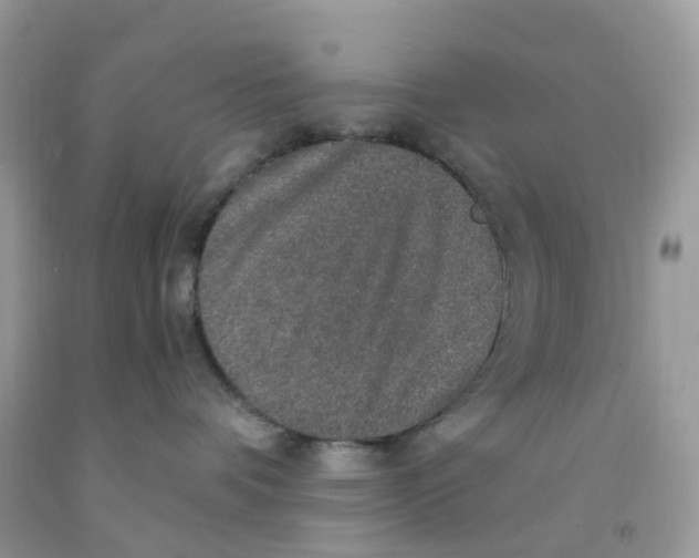 X0000091550336200709141521