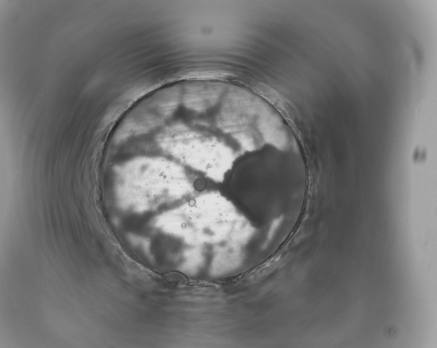 X0000091550337200709141520