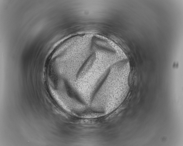 X0000091550338200709141520