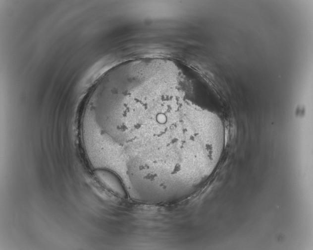 X0000091550339200709141520