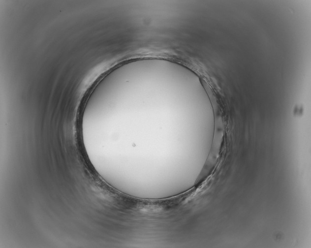 X0000091550340200709141520