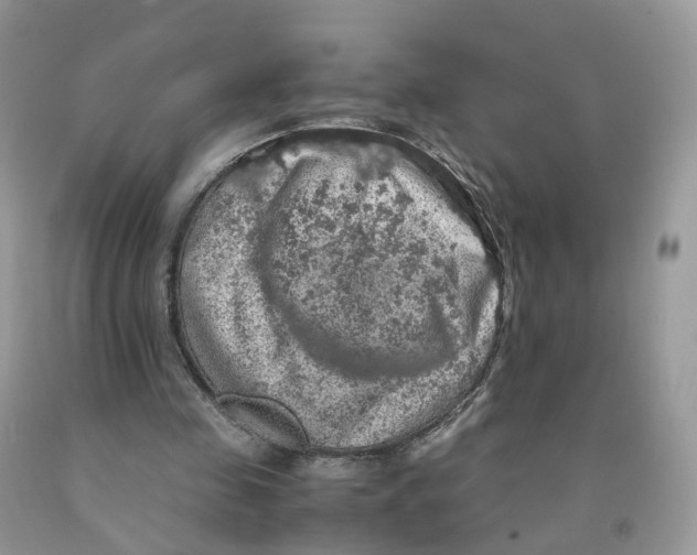 X0000091550341200709141520